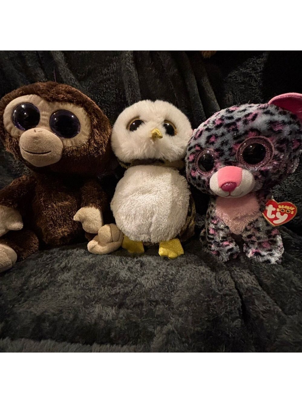 Ty Beanie Boos Bundle